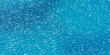 Does Aldi Sell Distilled Water