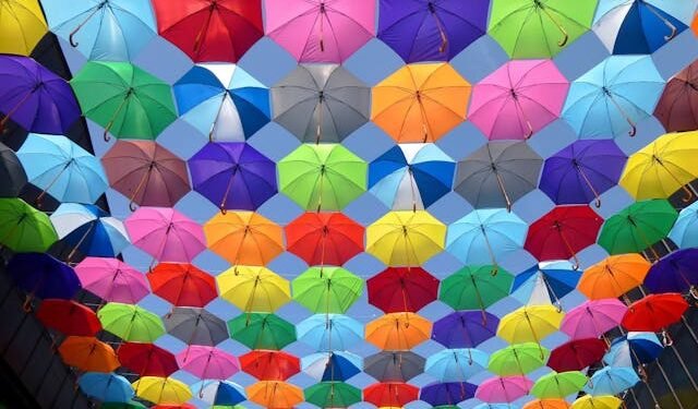 Does Dollar Tree Sell Umbrellas