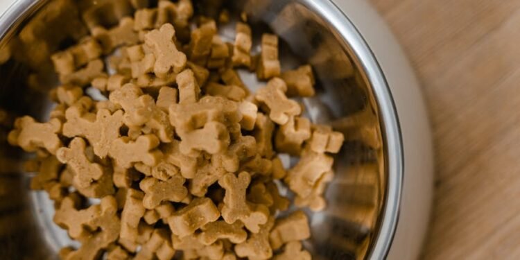 Does CVS Sell Dog Food?