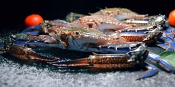 Does PetSmart Sell Hermit Crabs?