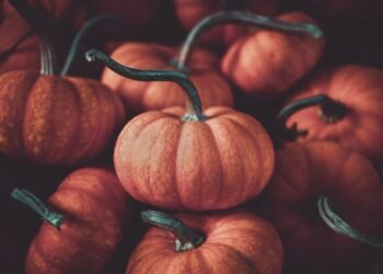 Does Target Sell Pumpkins?